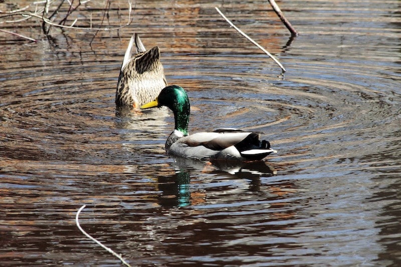best hiking parks long island