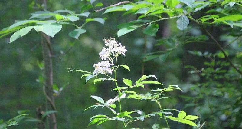 best hiking trails on long island, ny