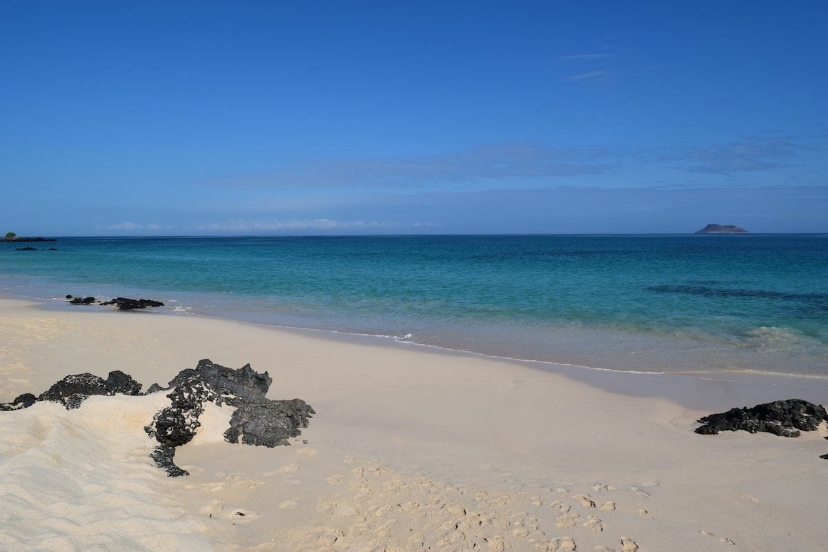 beautiful white sand beach meeting turquoise waters in the Galapagos Islands, Ecuador, South America