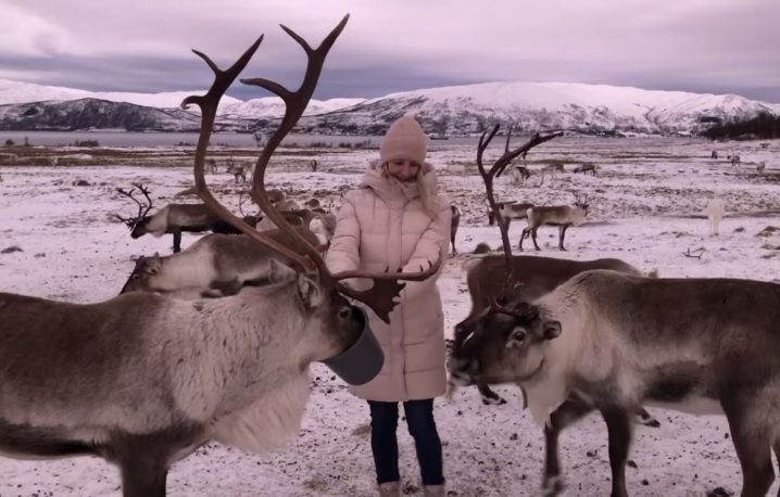 Reindeer Feeding & Experiencing Sami Culture