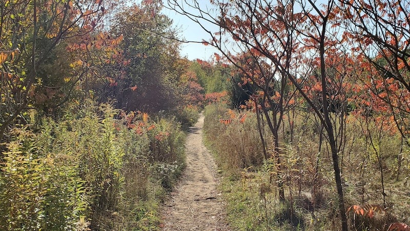 Mount Nemo Trail is one of Toronto's best hiking trails