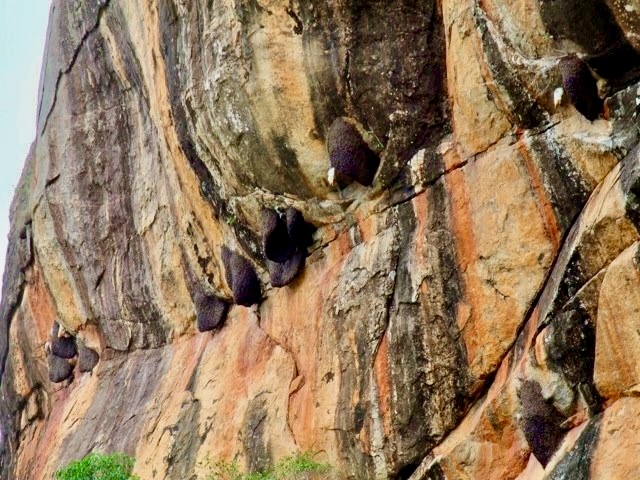 Climbing Sigiriya Rock