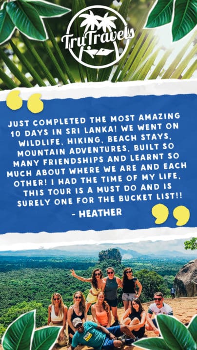 Trutravels review