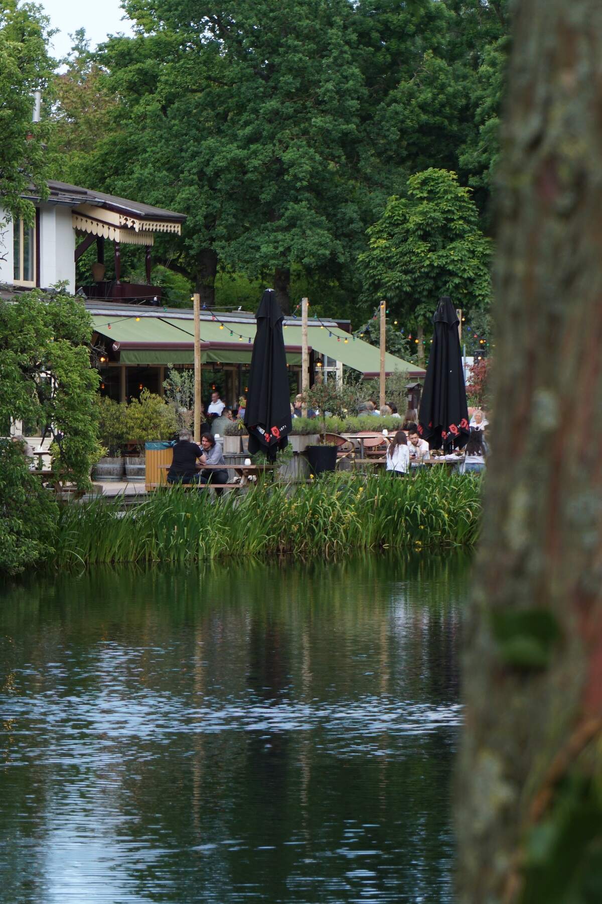 pond and trees in the free to visit Vondelpark in Amsterdam, Netherlands