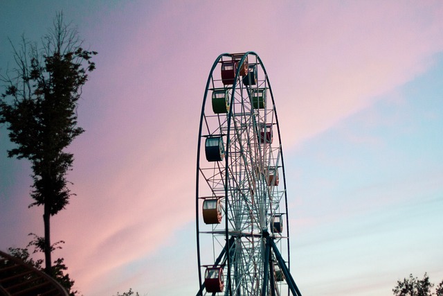 Going to an amusement park alone
