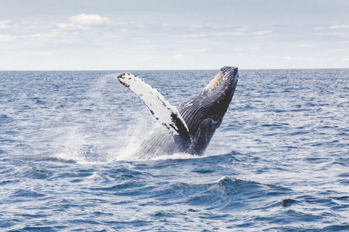Norway itineraries 