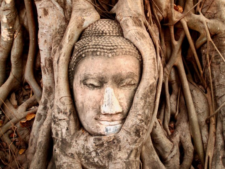 solo travel in Bangkok