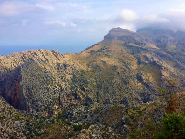 Finca Cuxach