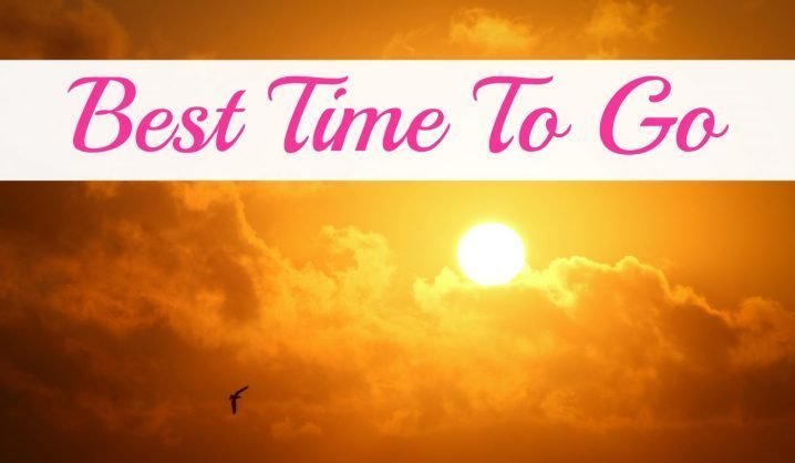 Banner that reads best time to go.