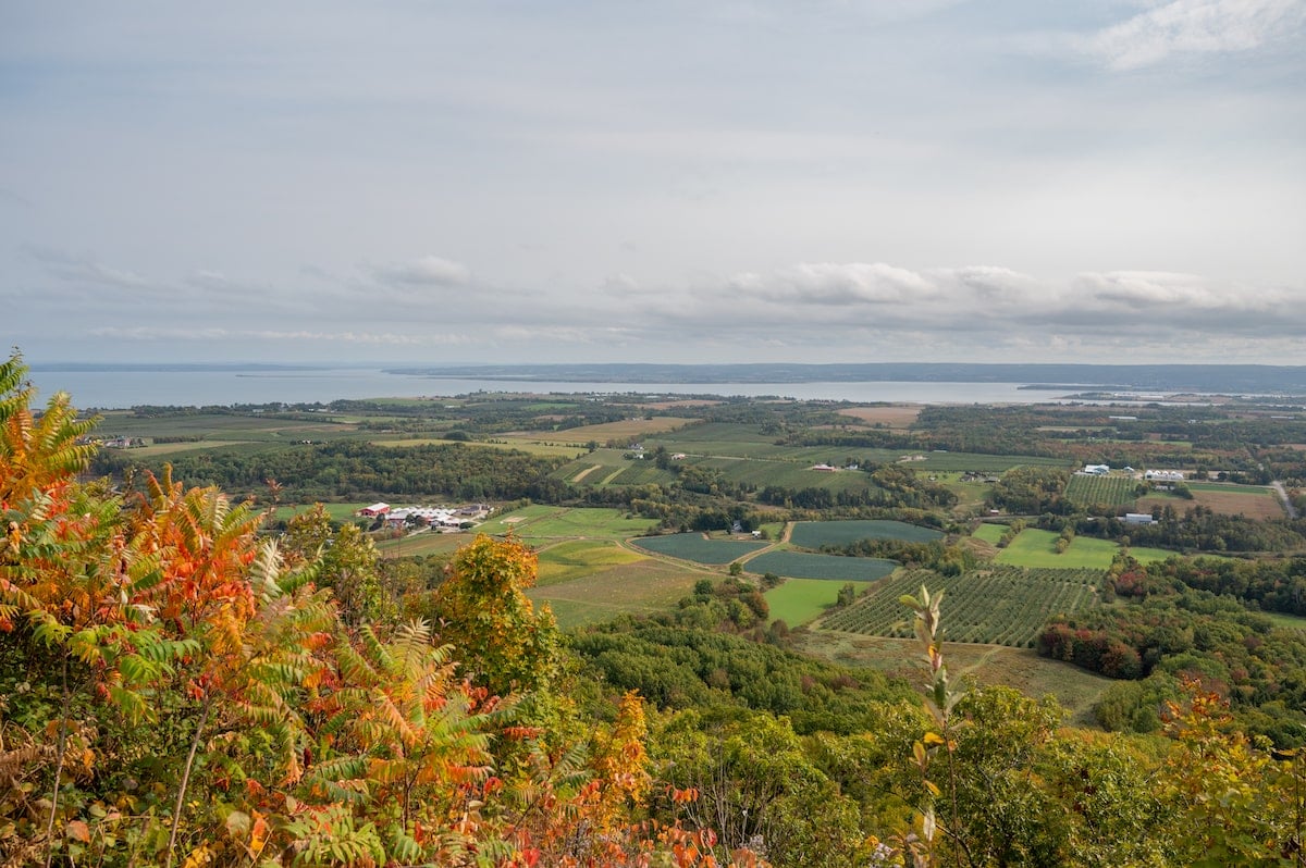 Expansive view over the lush farmland of the Annapolis Valley and the distant waters of the Bay of Fundy from the Blomidon Look-Off in Nova Scotia, with vibrant fall foliage in the foreground.