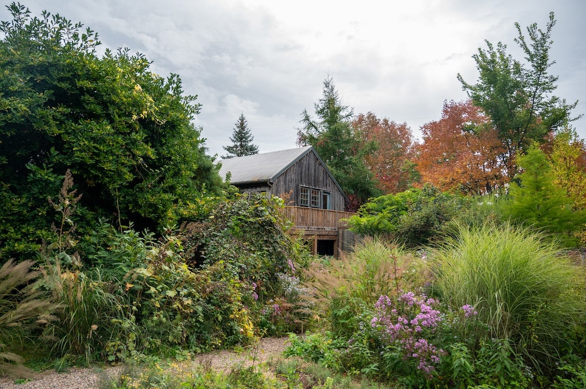Rustic wooden building surrounded by lush greenery, flowering plants, and tall grasses at Tangled Garden in Grand Pré, Nova Scotia, with hints of autumn colors on the trees in the background