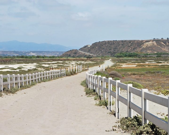 Things To Do in San Diego Alone