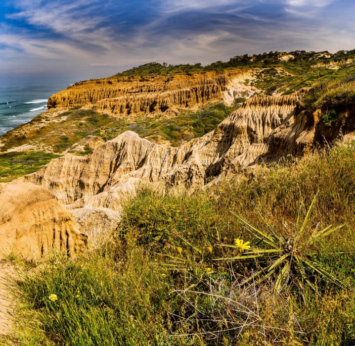 Torrey Pines State Reserve