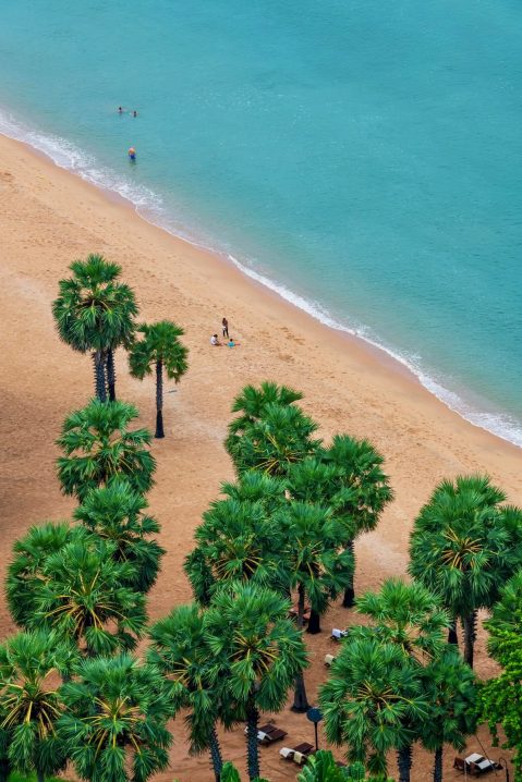Solo Travel in Pattaya