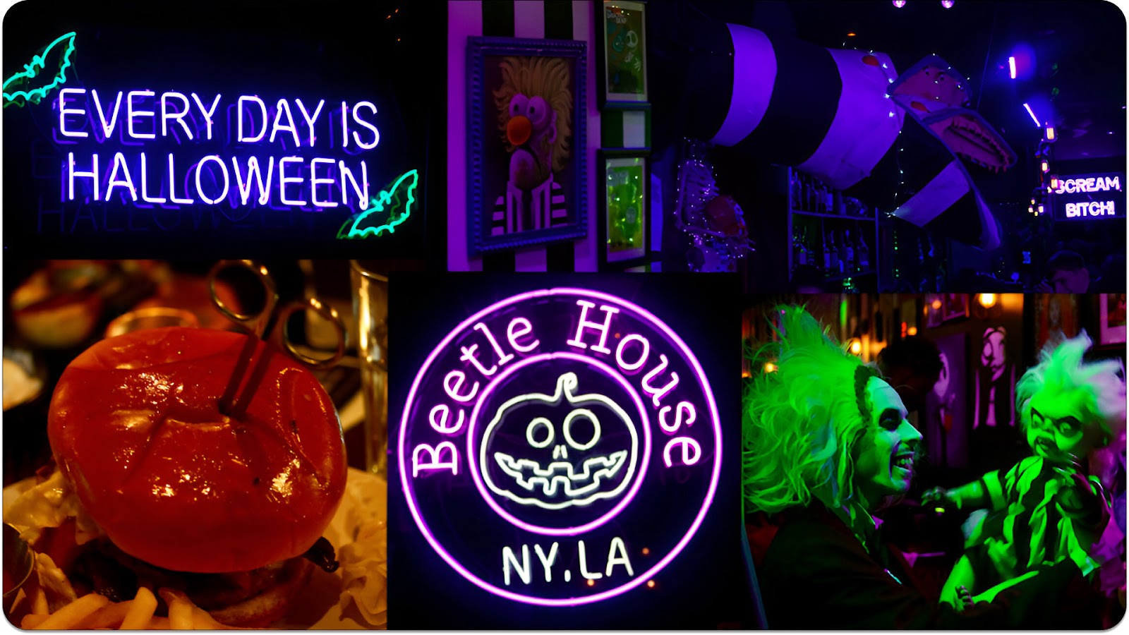 Beetle House - an unusual place in New York featuring Halloween atmosphere