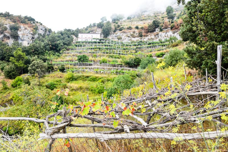 Hiking Amalfi Coast Path of the Gods